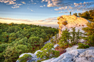 अन्य उपयोग के लिए नहीं - केवल गोल्ड स्टैंडर्ड