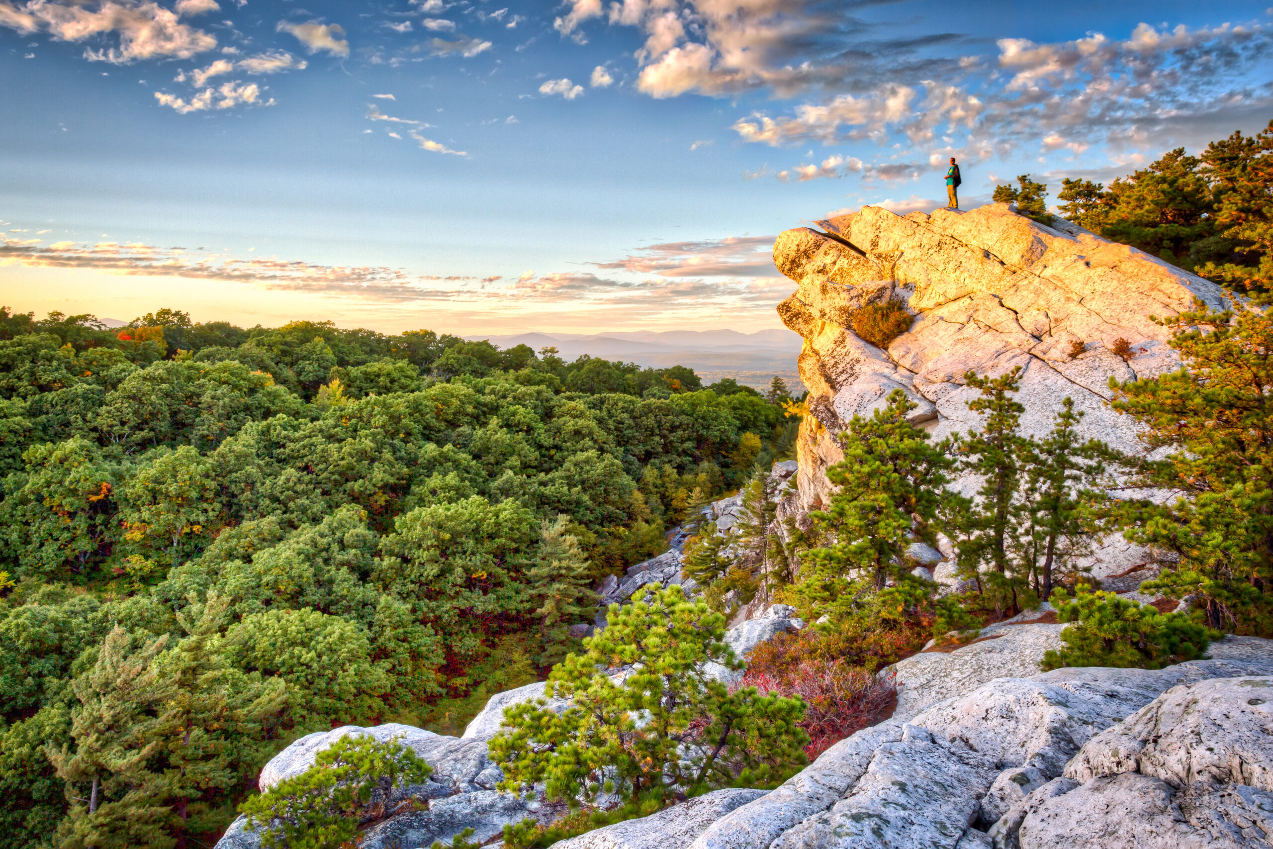 Not for other use - Only Gold Standard